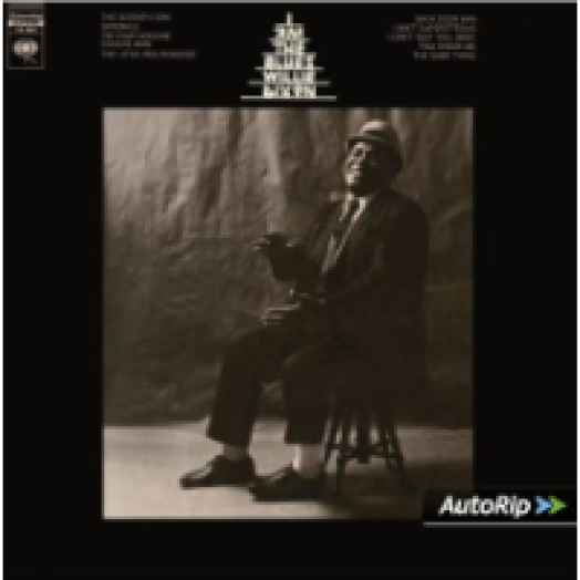 I Am The Blues LP
