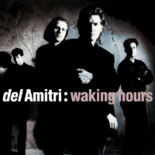 Waking Hours CD