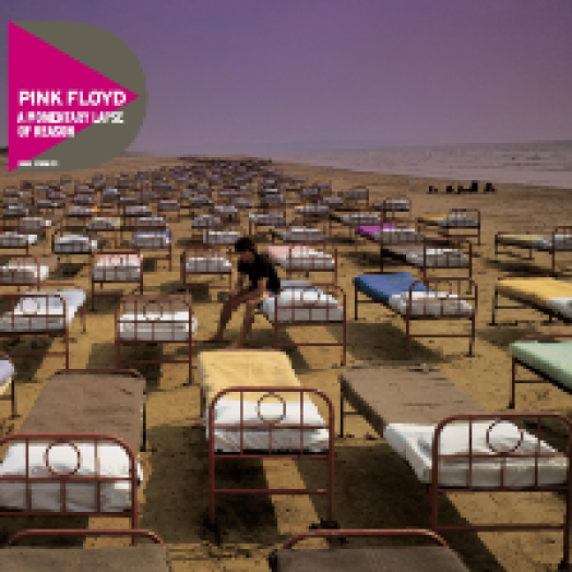 A Momentary Lapse of Reason CD