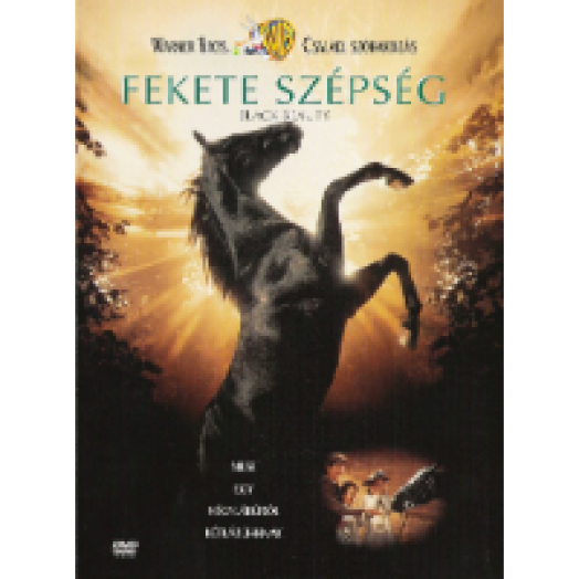 Fekete szépség DVD