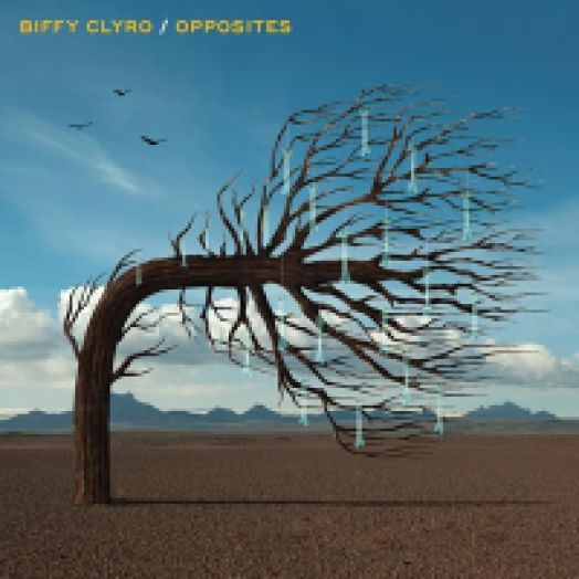 Opposites CD