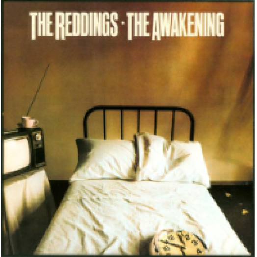 The Awakening LP