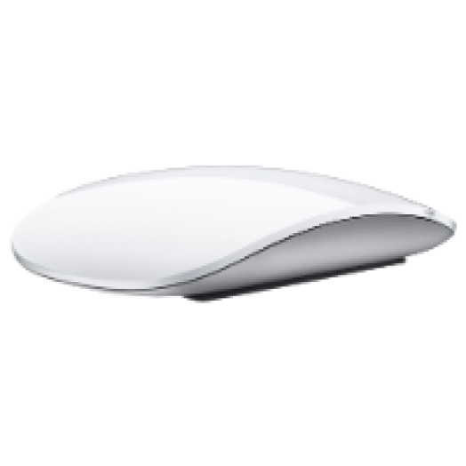 Magic Mouse (mb829zm/a)
