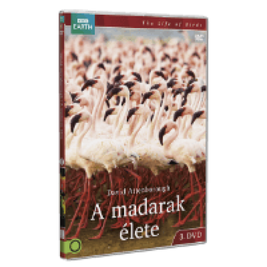 A madarak élete 3. DVD