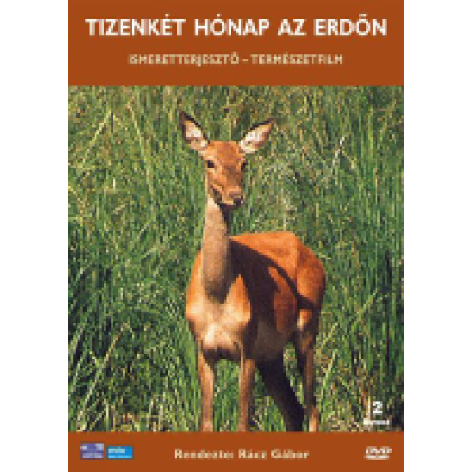 Tizenkét hónap az erdőn DVD