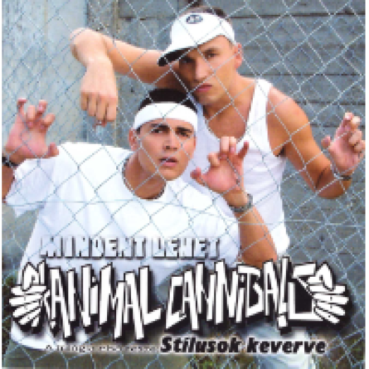 Mindent lehet 1. - Stílusok keverve CD