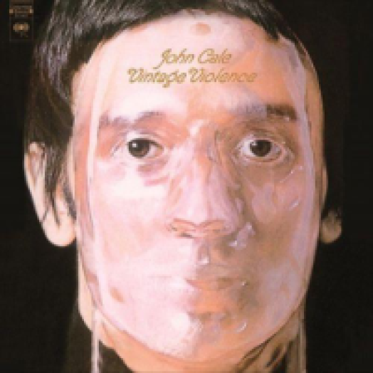 Vintage Violence LP