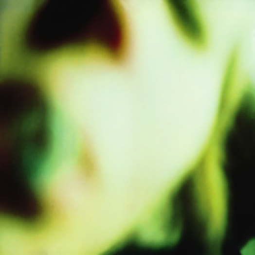 Pisces Iscariot CD
