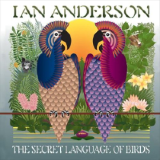 The Secret Language of Birds CD