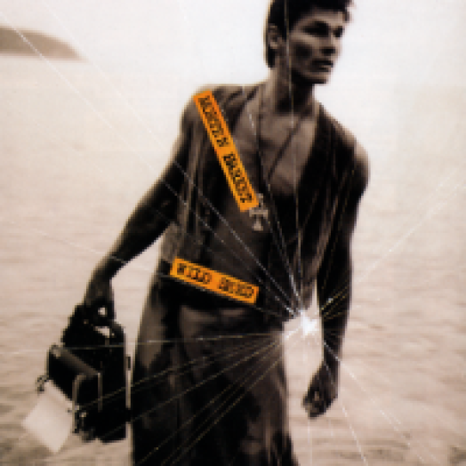 Wild Seed CD