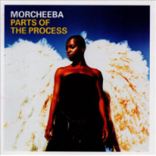 Parts of the Process CD