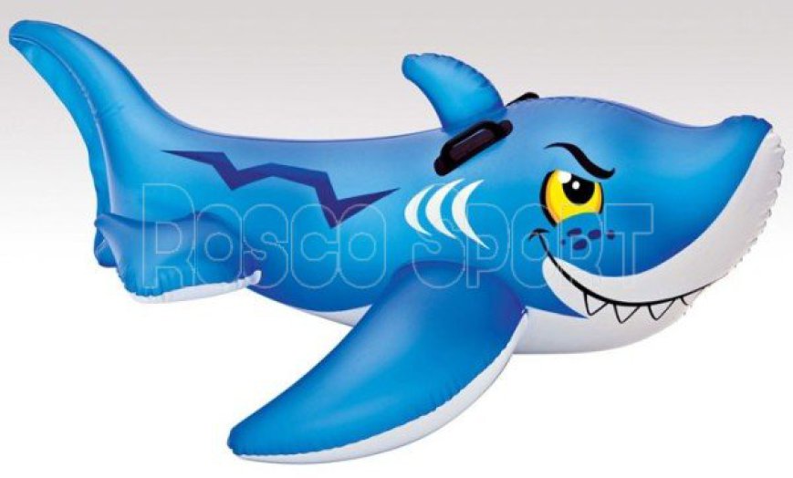 Friendly Shark lovagló