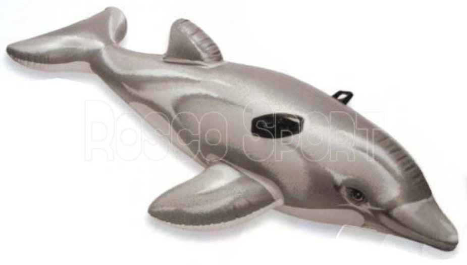 Óriás delfin lovagló