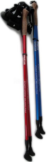 Spartan Nordic Walking túrabot