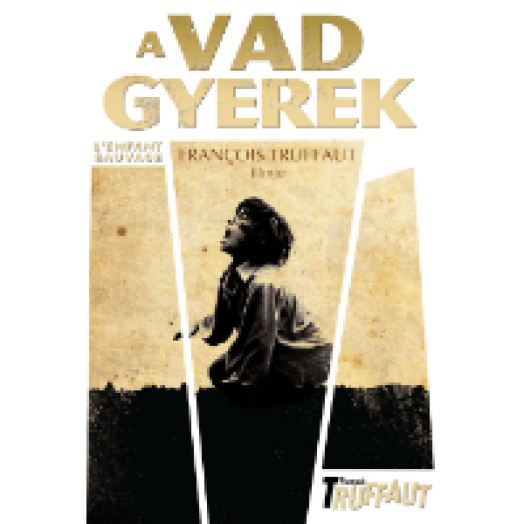A vad gyerek DVD