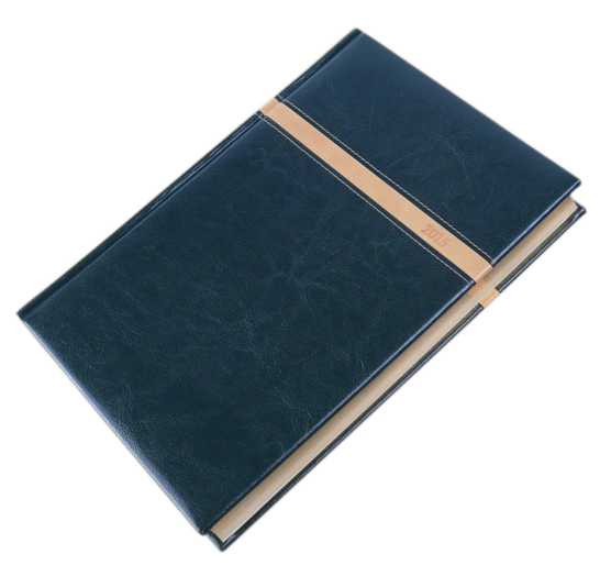 Agenda B/5 napi Business 5624