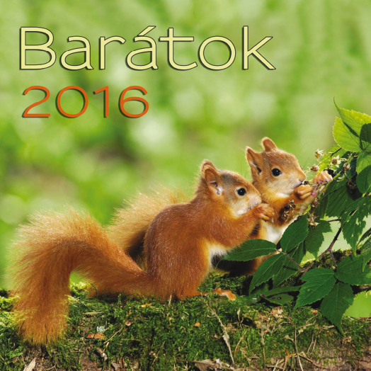 TopTimer falinaptár T098 Barátok