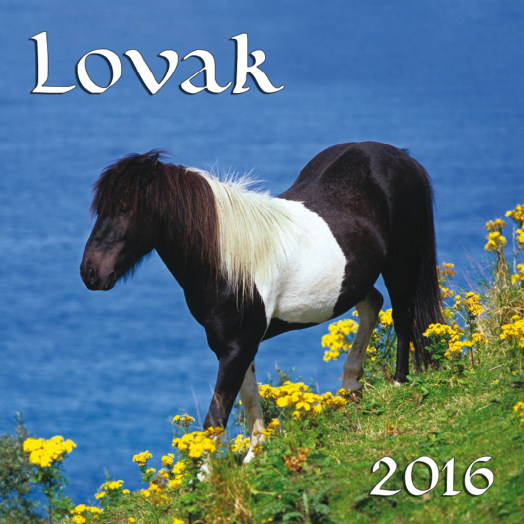 TopTimer falinaptár T098 Lovak