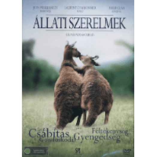 Állati szerelmek DVD