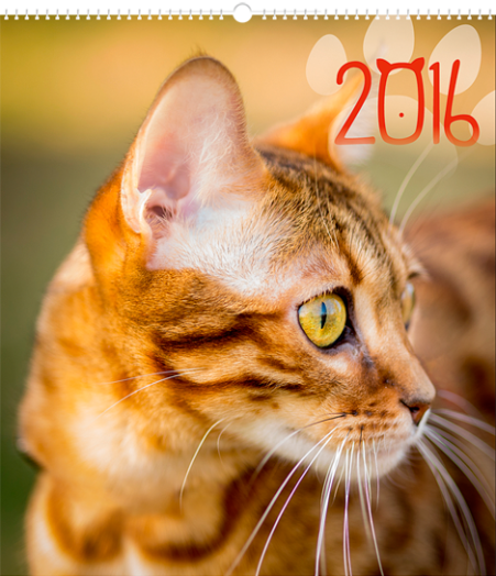 Falinaptár Cats 6087