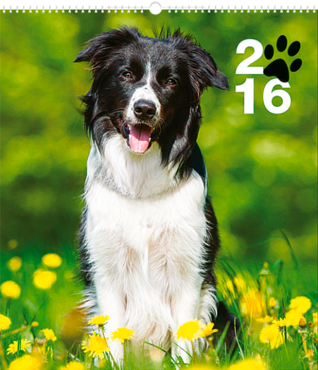 Falinaptár Dogs 6087