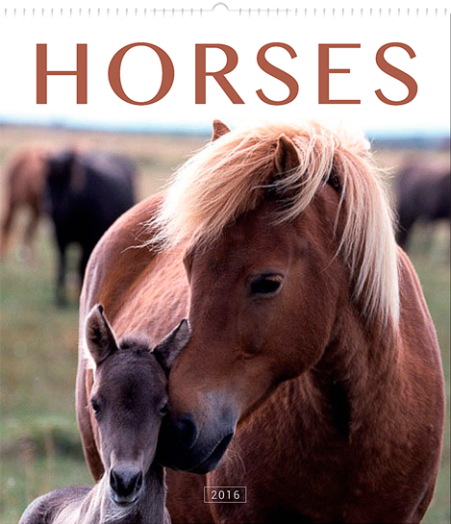 Falinaptár Horses 6087