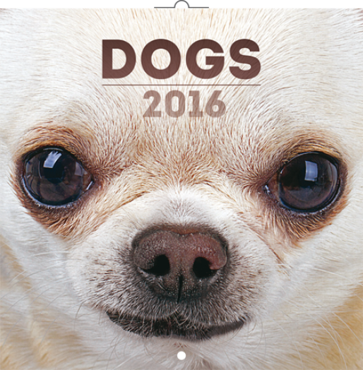 Falinaptár Dogs 6097