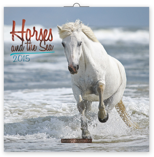 Falinaptár Horses&the Sea 6097