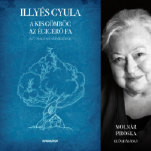 Illyés Gyula - 77 magyar népmeséjéből