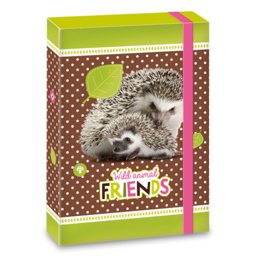 erdő-süni/Hedgehog füzetbox A/5
