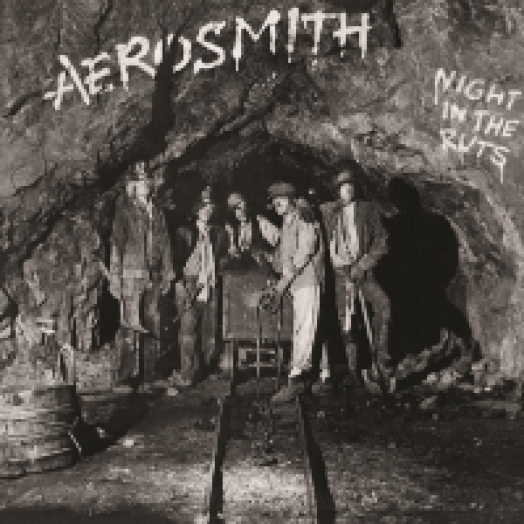 Night In The Ruts LP