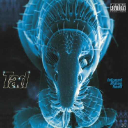 Infrared Riding Hood LP
