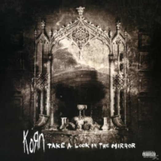 Take A Look In The Mirror LP