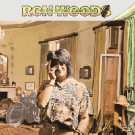 I've Got My Own Album To Do LP
