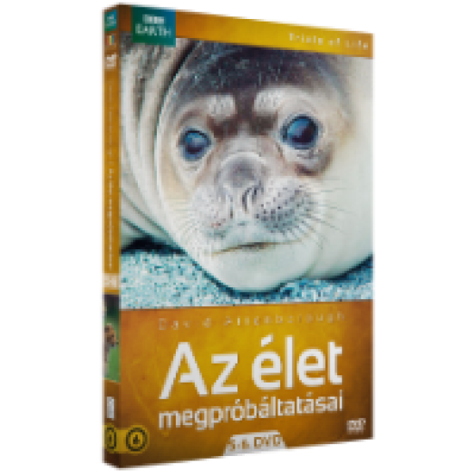 Az élet megpróbáltatásai 5-6. (díszdoboz) DVD