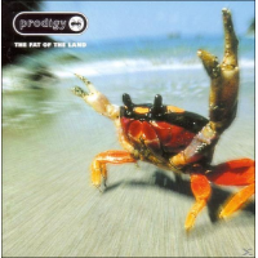 The Fat of the Land LP