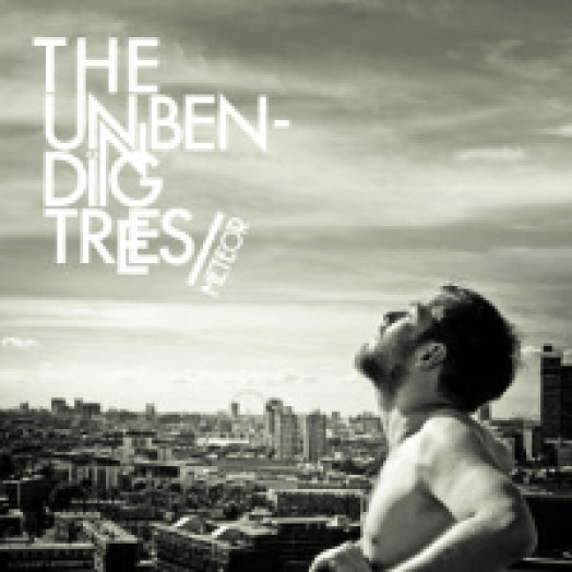 The Unbending Trees - Meteor CD