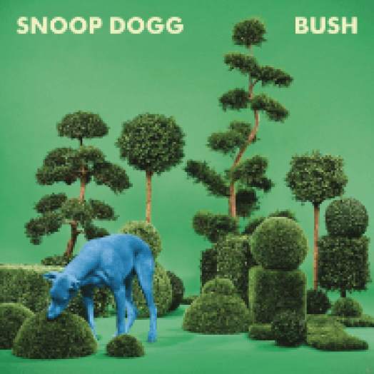 Bush CD