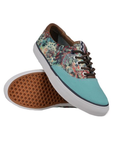 FOLK3 Colibri
