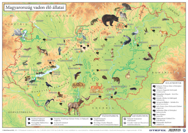 Könyöklő Mo.vadon élő állatai/ Magyarország állatvilága A3 du
