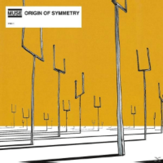Origin of Symmetry LP