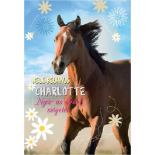 Charlotte 1. - Nyár az álmok szigetén