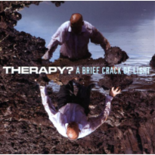 A Brief Crack of Light CD