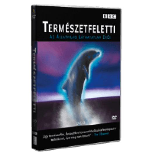 Természetfeletti 2. DVD