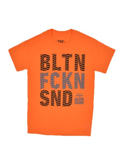 BSFEST