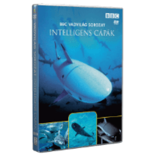 Vadvilág Sorozat - Intelligens cápák DVD