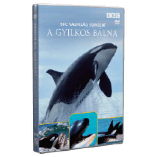 Vadvilág Sorozat - A Gyilkos bálna DVD