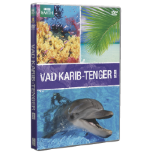 Vad Karib-tenger 2. DVD