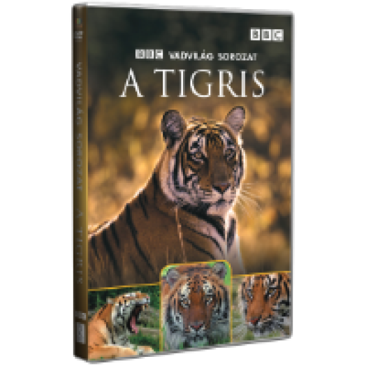 Vadvilág sorozat - A tigris DVD