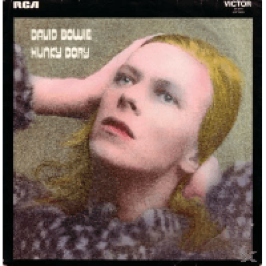 Hunky Dory CD